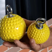 Pull up Balls with Carabiner Strengtheners